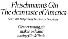 Fleischmann's Gin